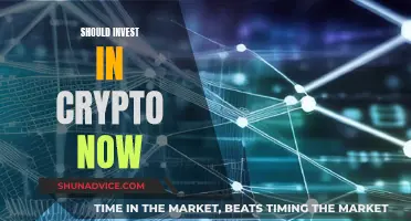 Crypto Investment: Is It Too Late to Invest Now?