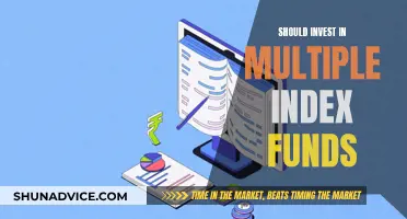 Diversifying Your Portfolio: Investing in Multiple Index Funds