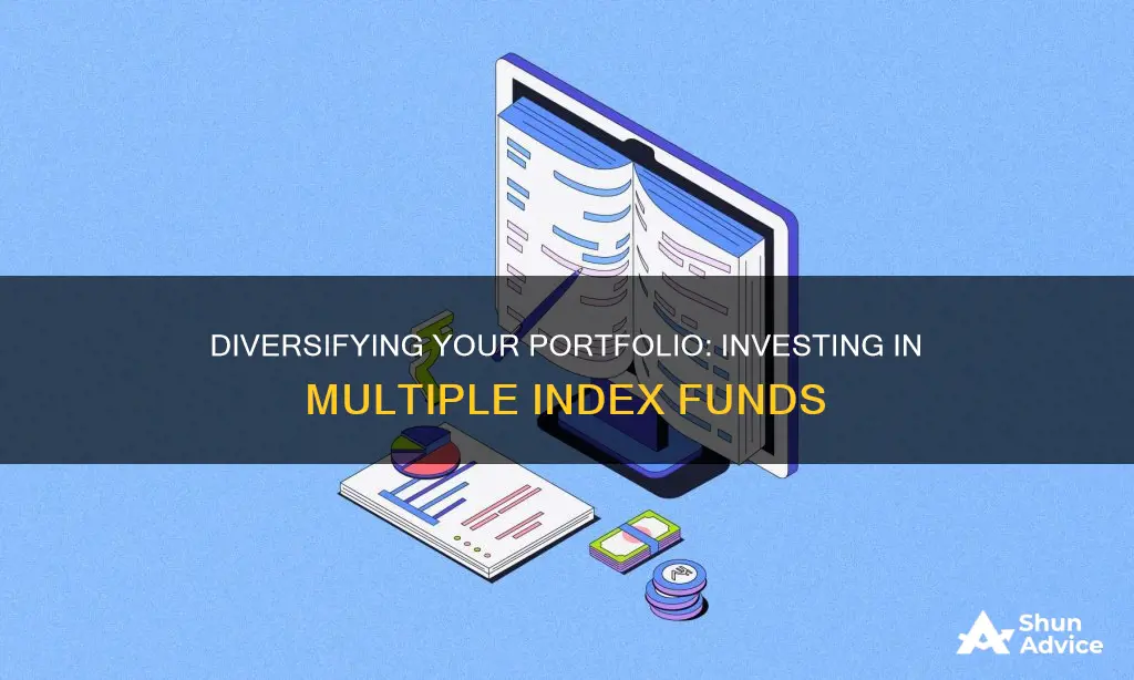 should invest in multiple index funds