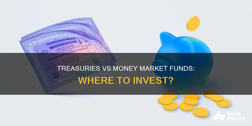 should invest in treasuries or money market fund