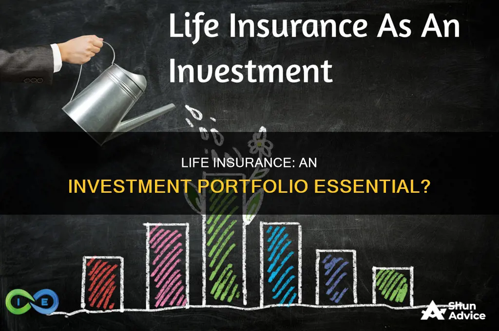 should life insurance be part of an investment portfolio