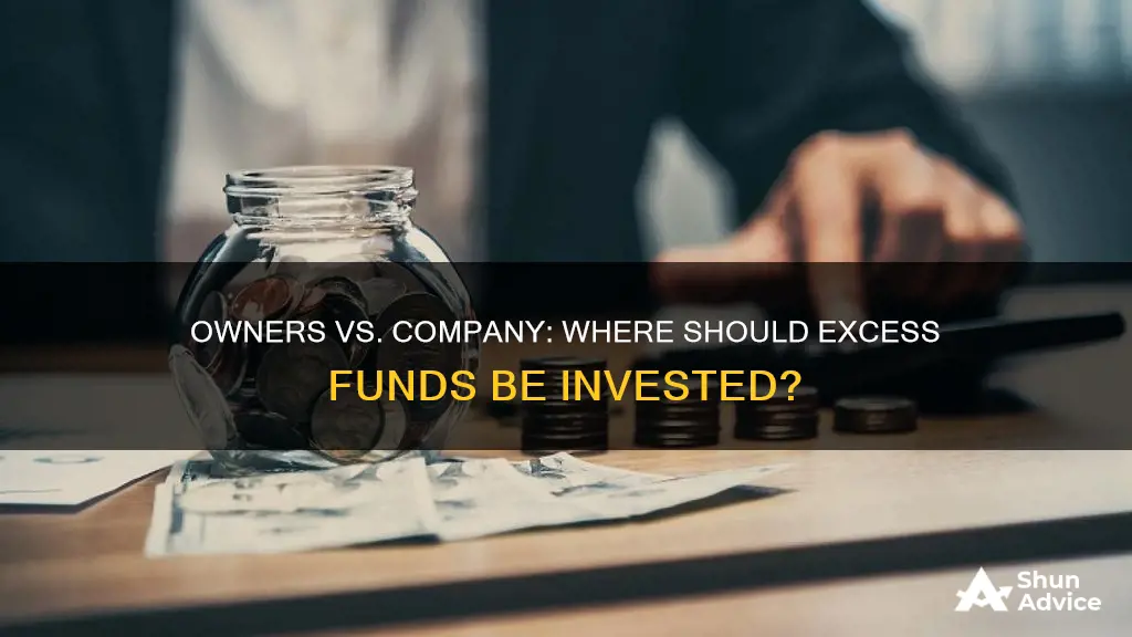 should owner or company invest excess funds