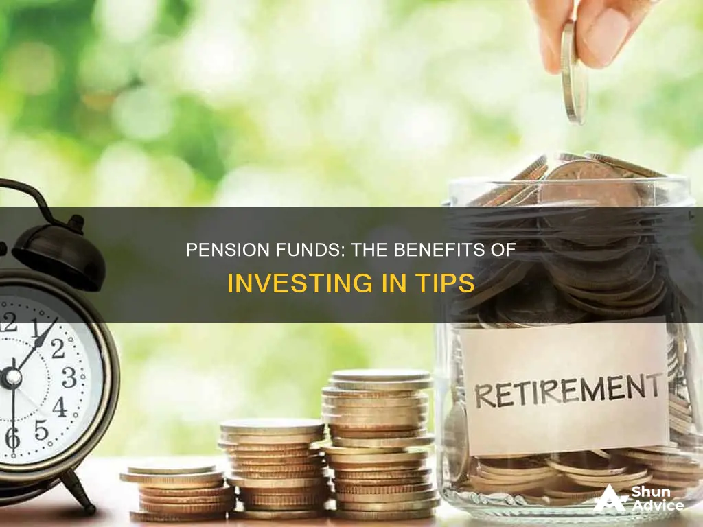 should pension fund invest in tips