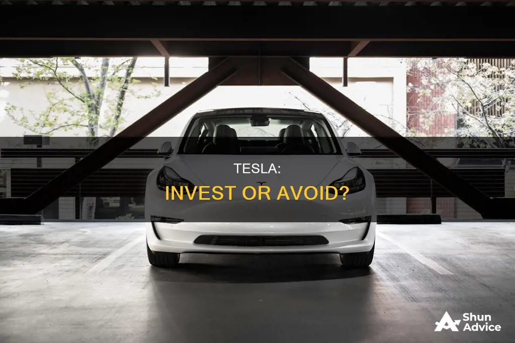 should people invest in tesla