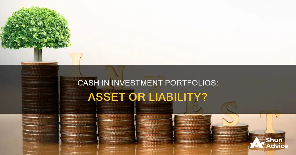 should the cash in investment portfolio count as an investment