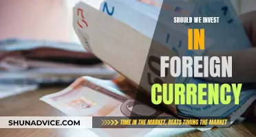 Navigating Global Markets: Foreign Currency Investment Strategies