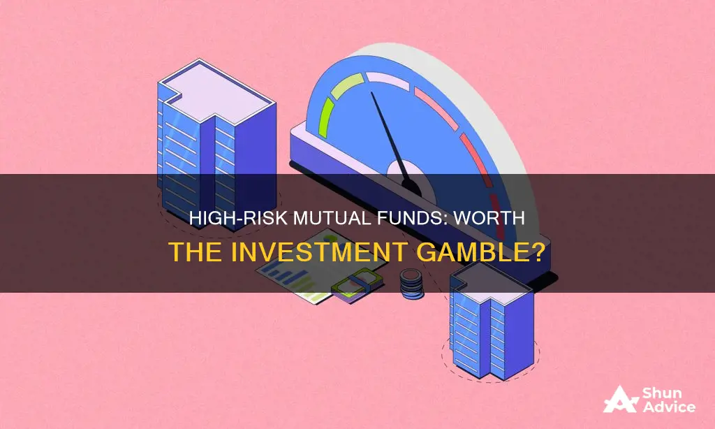 should we invest in high risk mutual funds