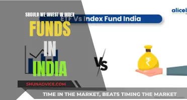 Index Funds in India: Smart Investment or Risky Business?