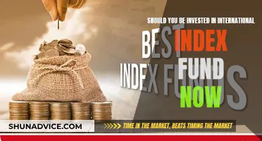 International Index Funds: Invest Now or Miss Out?