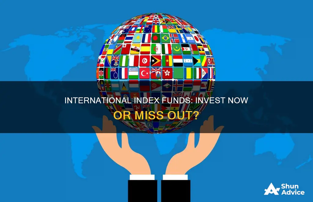 should you be invested in international index fund now