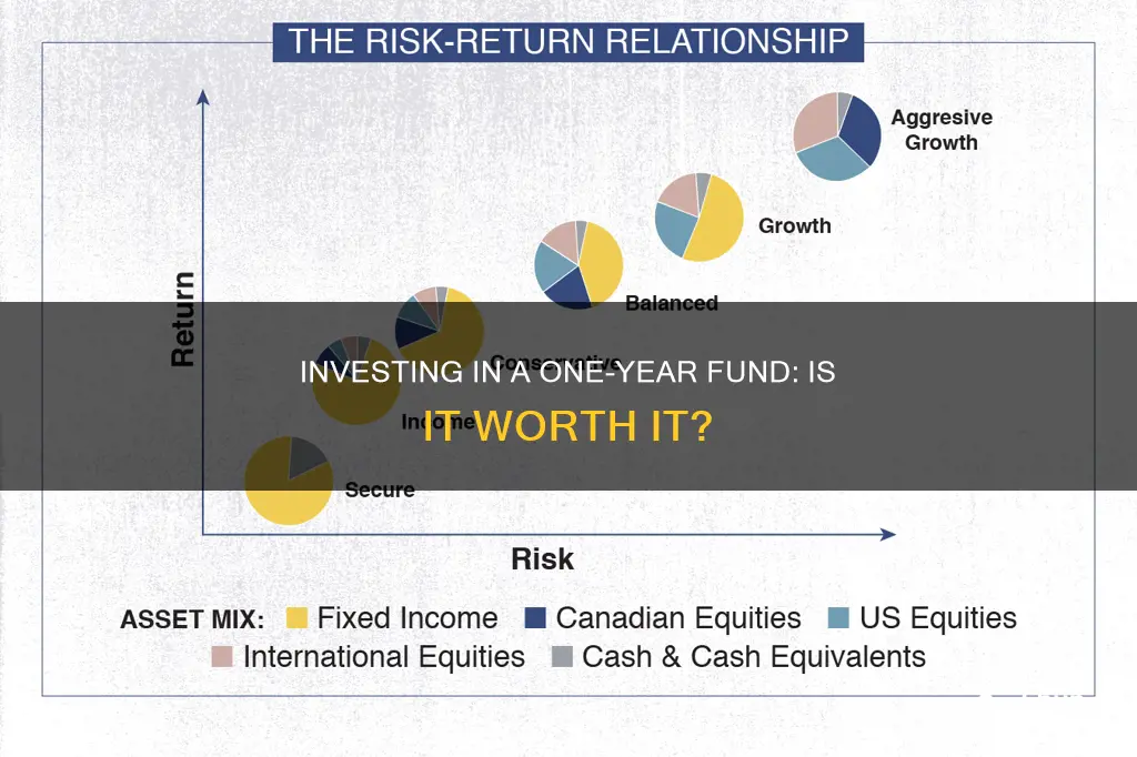 should you invest in a 1 year fund