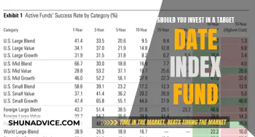 Target Date Index Funds: Invest or Avoid?