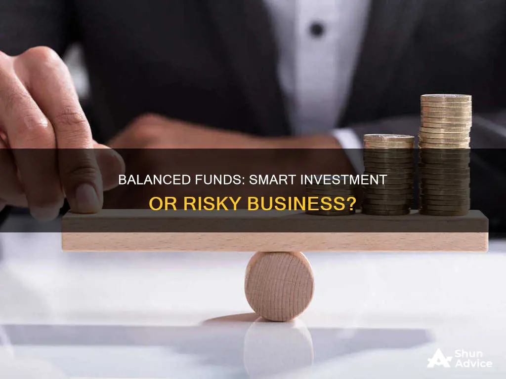 should you invest in balanced funds