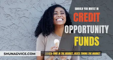 Credit Opportunity Funds: Worth Your Investment?