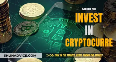 Cryptocurrency Investment: Worthwhile or Risky Business?