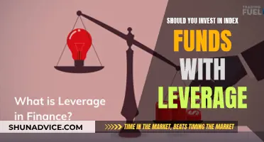 Leveraged Index Funds: Risky or Rewarding Investment Strategy?