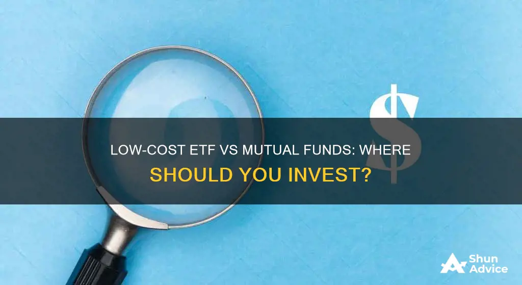 should you invest in low cost etf