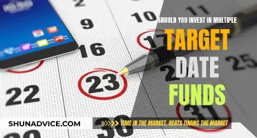 Target Date Funds: Smart Investment or Diversification Distraction?