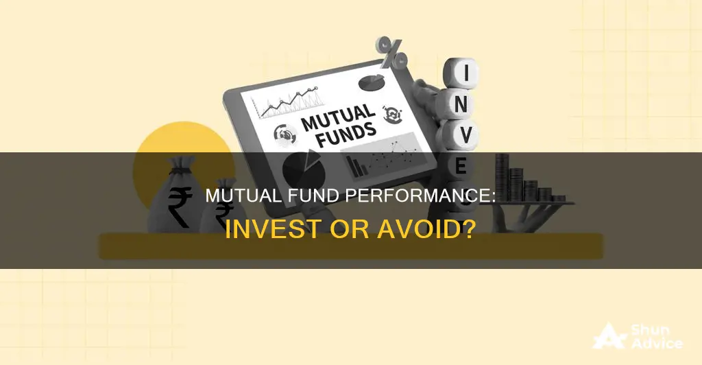 should you invest in the top performing mutual funds