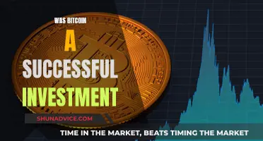 Bitcoin's Investment Success: Was it Worth the Risk?