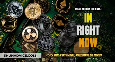 Altcoin Investment: Best Picks