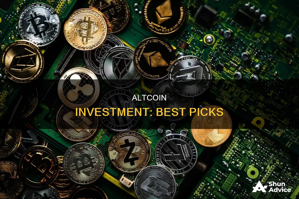 what altcoin to invest in right now