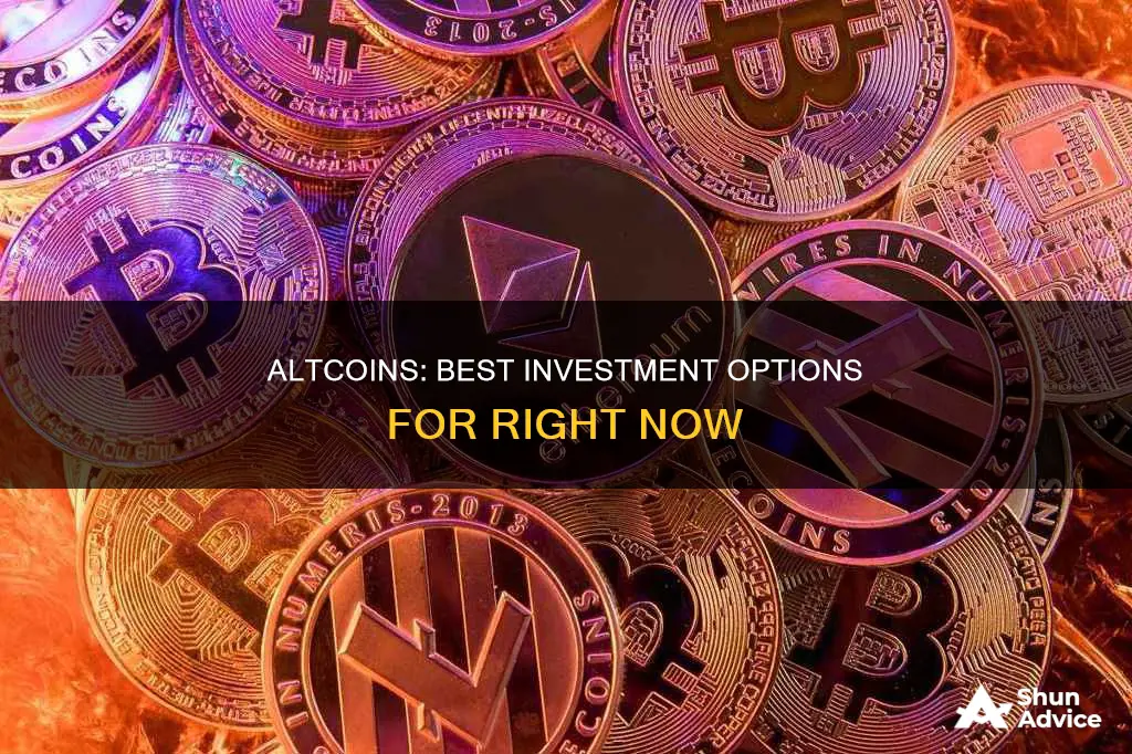 what altcoins are a good investment right now