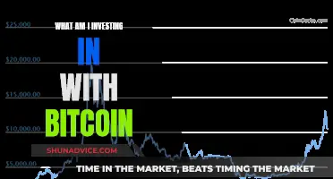 Understanding Bitcoin: What Your Investment Really Means