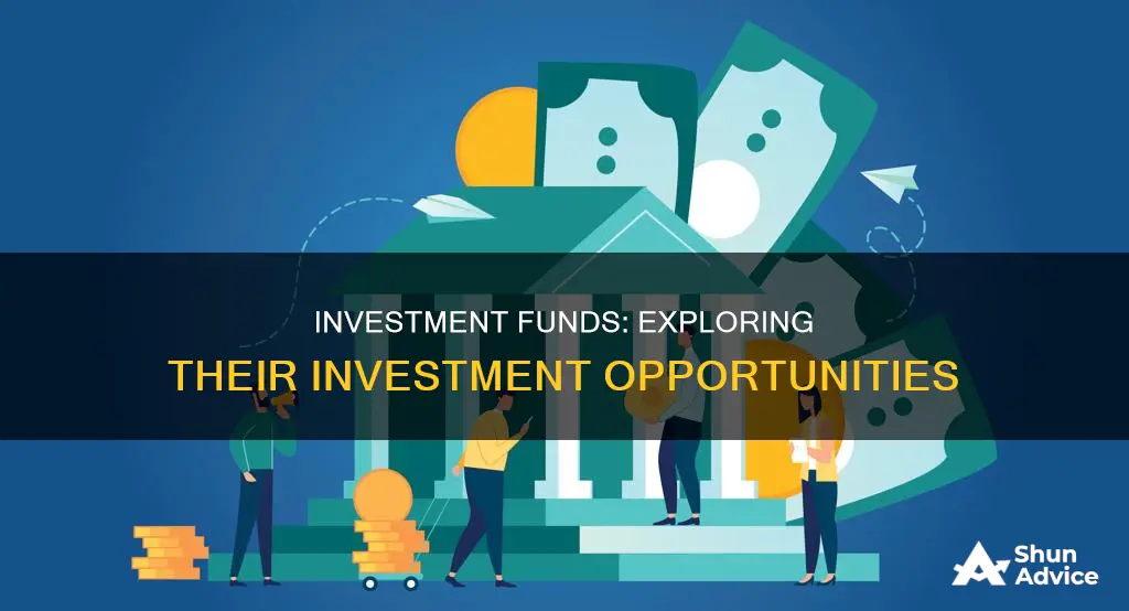 what an instituonal investment fund is allowed to invest in