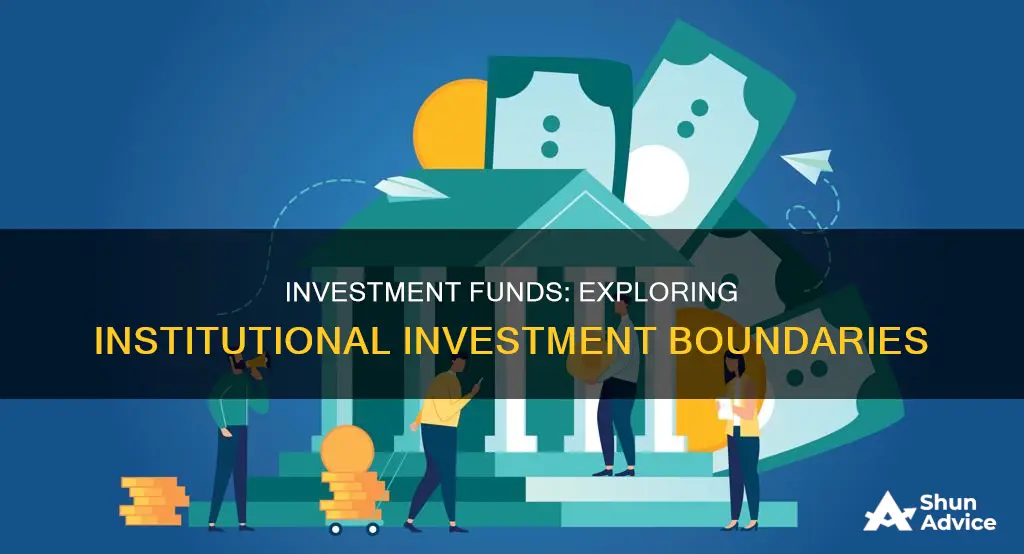 what an institutional investment fund is allowed to invest in