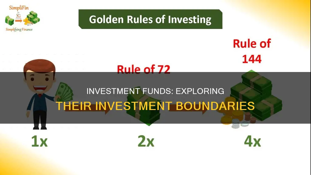 what an investment fund is allowed to invest in