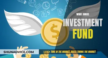 Angel Investment Fund: What's the Deal?