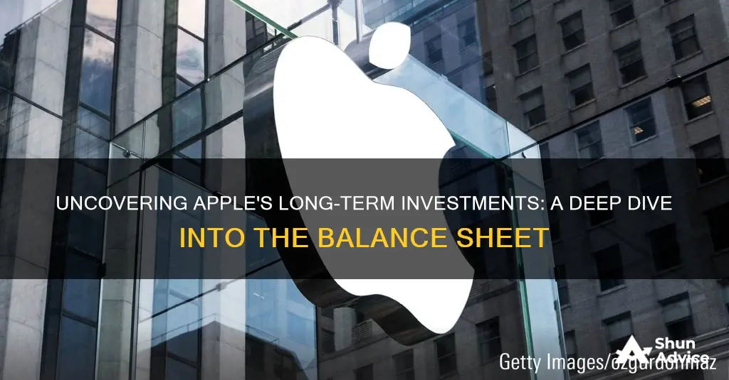 what are apple long term investments on balance sheet