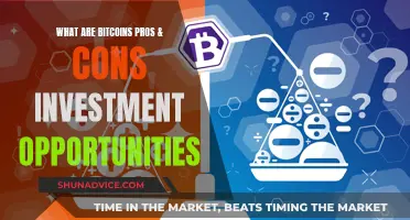 Bitcoins: Investment Opportunities, Pros, and Cons