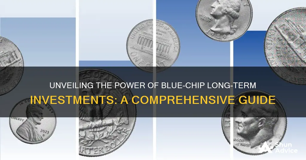 what are blue chip long term investments