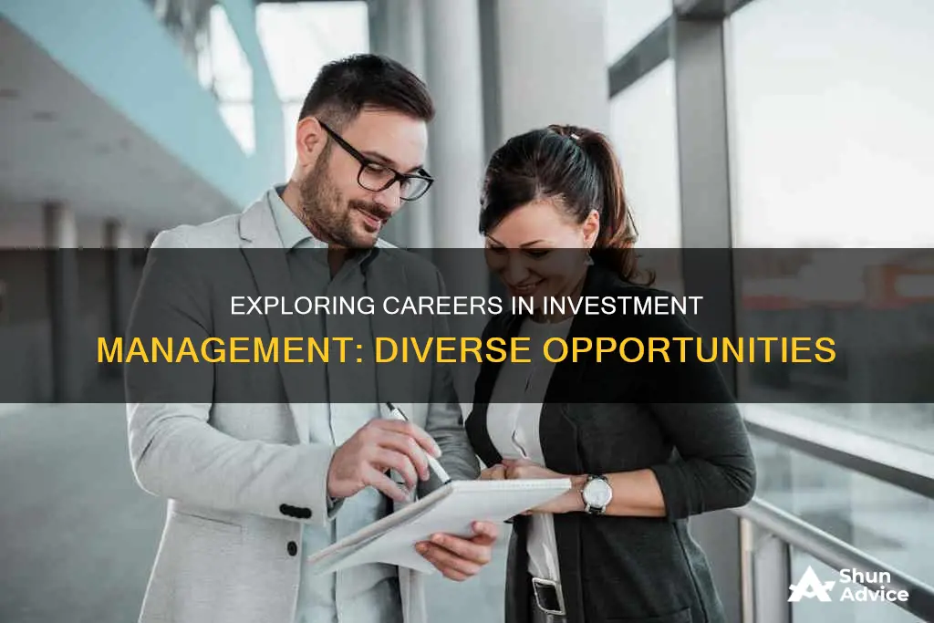 what are careers in investment management