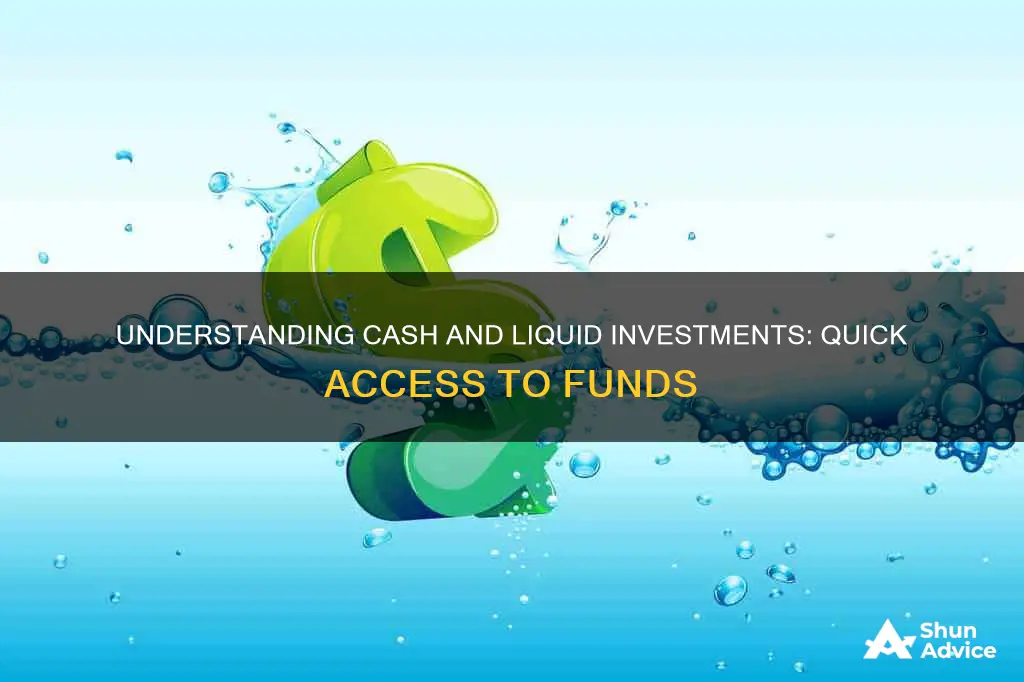 what are cash and liquid investments