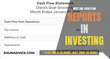 Cash Flow Reports: Vital Investing Tool