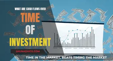 Understanding Investment Cash Flows: A Timeline Perspective