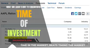 Understanding Investment Cash Flows Over Time