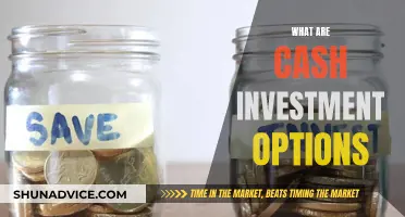 Cash Investment Options: Exploring Safe and Smart Strategies