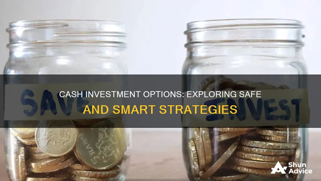 what are cash investment options