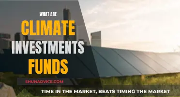 Climate Investment Funds: What Are They?