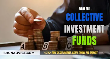 Understanding Collective Investment Funds: Smart Money Management