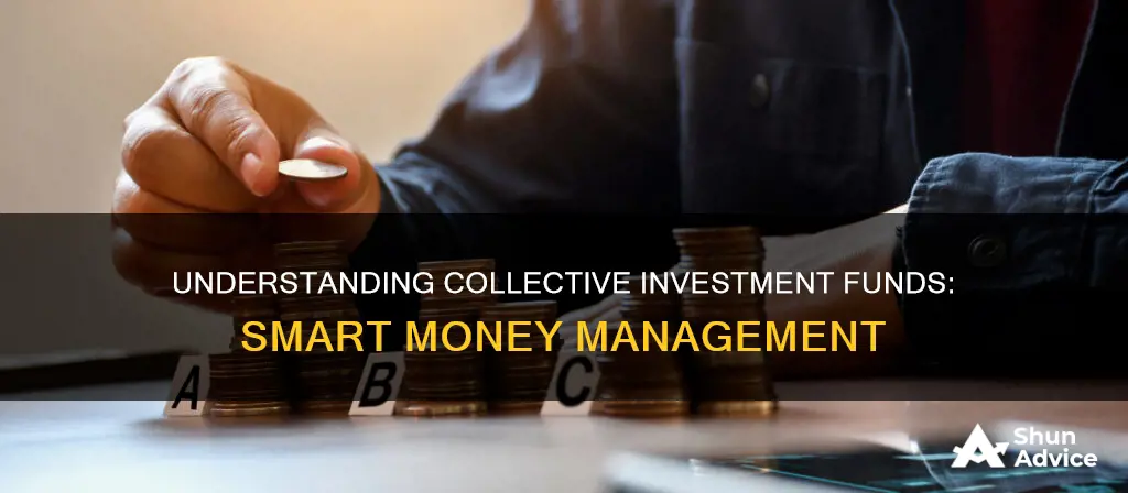 what are collective investment funds