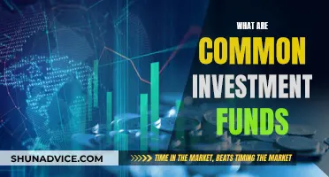 Investment Funds: Common Types and How They Work