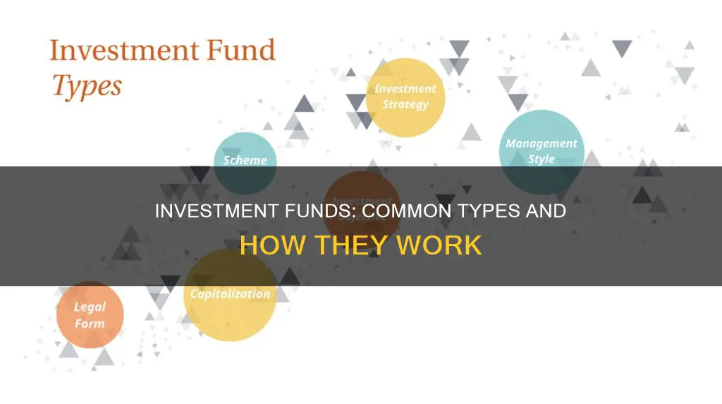 what are common investment funds