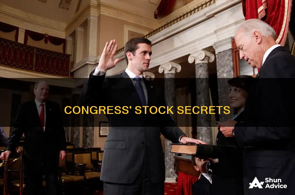 what are congress people investing in