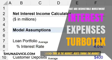 Maximizing Deductions: Understanding Investment Interest Expenses on TurboTax