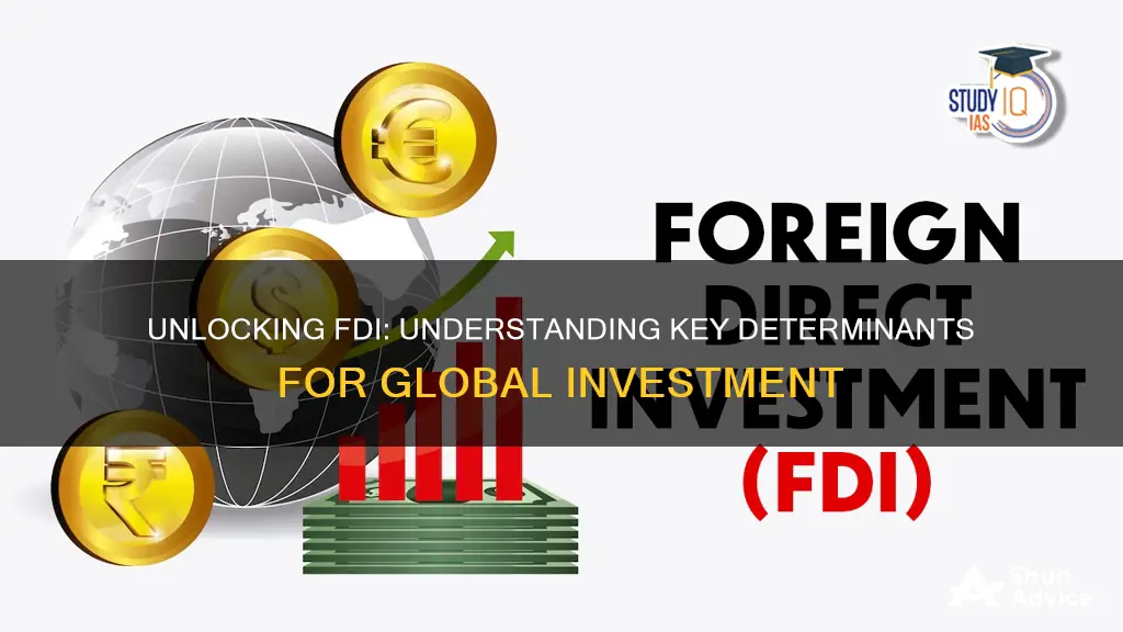 what are determinants of foreign direct investment